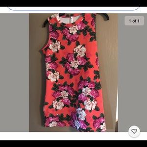 Piphany silver lake tunic tank